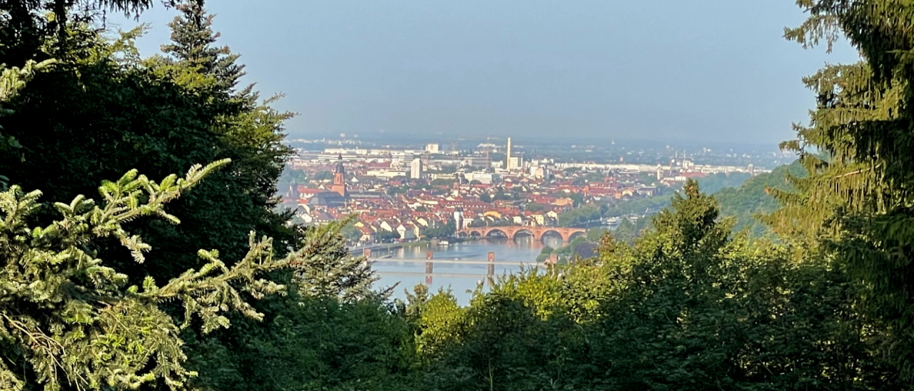 Wandern in Heidelberg