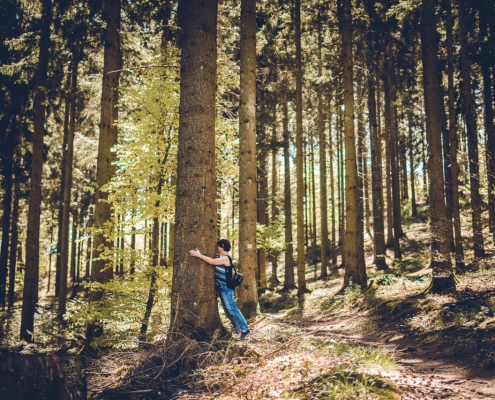 Leben mit Krebs in Heidelberg - Die heilende Macht des Waldes